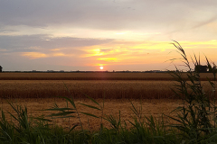 Polder Zuidland